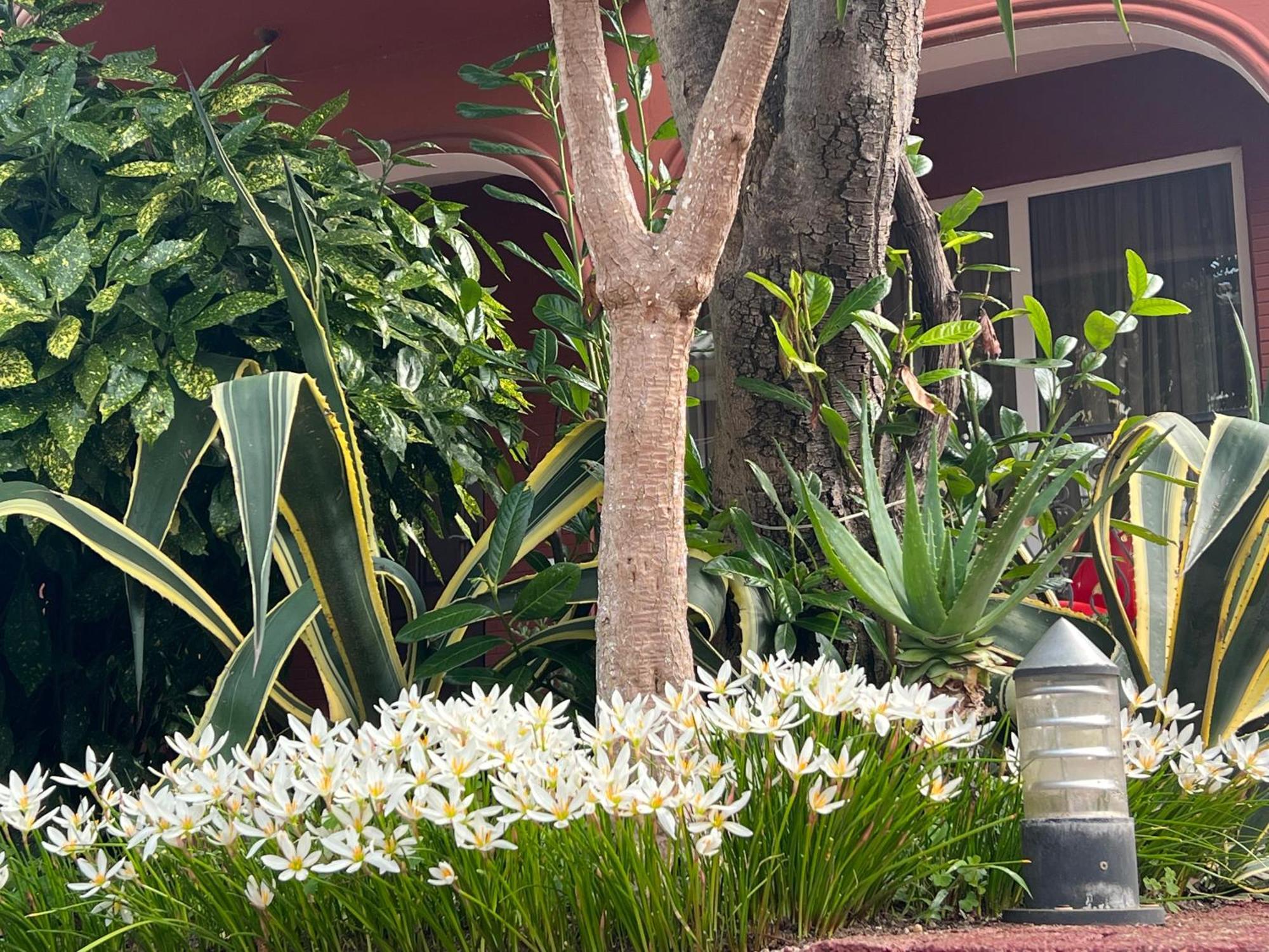 Gold Guest House Gonio Exterior photo
